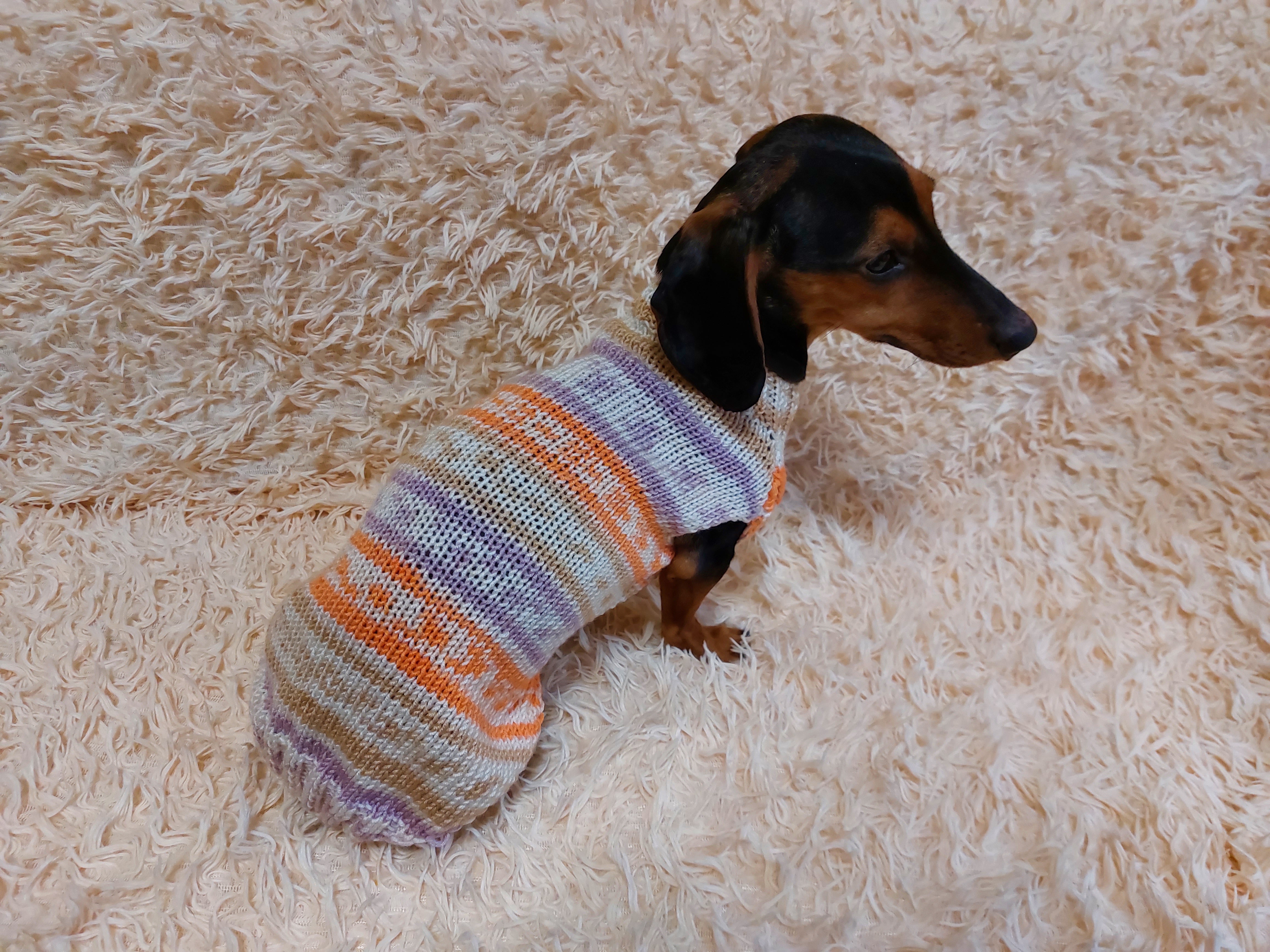 Weiner dog clearance sweater