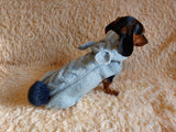 Alpaca Wool Rabbit Hooded Sweater for Pets,Easter Clothes Rabbit for Dogs dachshundknit