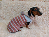 Warm wool sweatshirt for pets, hoodie for dogs dachshundknit