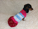 Striped floral bright outfit for a dog with flowers dachshundknit