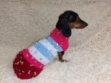 Striped floral bright outfit for a dog with flowers dachshundknit