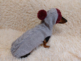 Hooded Dog pet Sweater, Sweater with hood for dachshund or small dog, sweatshirt knitted for dog dachshundknit