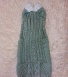 Hooded Dog pet Sweater, Sweater with hood for dachshund or small dog, sweatshirt knitted for dog dachshundknit