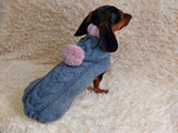 Hooded Dog pet Sweater, Sweater with hood for dachshund or small dog, sweatshirt knitted for dog dachshundknit