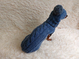 Dachshund costume winter warm sweater and hat with arans dachshundknit