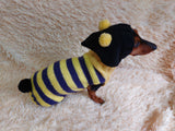 Bee halloween sweatshirt for pets,bee hoodie for dogs,bee clothes for mini dachshund dachshundknit