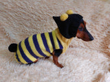 Bee halloween sweatshirt for pets,bee hoodie for dogs,bee clothes for mini dachshund dachshundknit