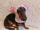 Clothes warm for pets wool hat snood with two pom poms, gift for pet dogs hat with pom poms dachshundknit