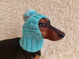 Hat winter pet wool with one pompom,clothes warm hat for dog dachshundknit