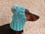 Hat winter pet wool with one pompom,clothes warm hat for dog dachshundknit