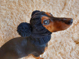Winter hat for a dog with handmade pom-poms dachshundknit