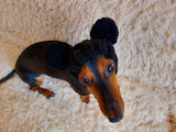 Winter hat for a dog with handmade pom-poms dachshundknit