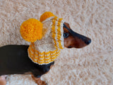 Winter hat for a dog with handmade pom-poms dachshundknit