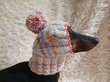 Warm winter snood hat for a dog with a pom-pom dachshundknit