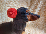 Pet snood hat winter warm wool snood hat for small dogs with two pom poms pet gift dog gift dachshundknit