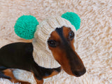 Clothing for miniature dachshund or small dog hat with two pompons dachshundknit