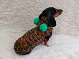 Warm bright outfit for pets hoodie with pompoms, dog dachshund bright hoodie with pompoms dachshundknit