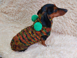 Warm bright outfit for pets hoodie with pompoms, dog dachshund bright hoodie with pompoms dachshundknit