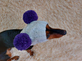 White Pet Hat With Colorful Pom Poms Dog Dachshund Warm Clothes Outfit Pom Pom Hat dachshundknit