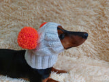 White Pet Hat With Colorful Pom Poms Dog Dachshund Warm Clothes Outfit Pom Pom Hat dachshundknit
