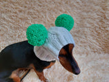 White Pet Hat With Colorful Pom Poms Dog Dachshund Warm Clothes Outfit Pom Pom Hat dachshundknit