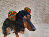 Warm hat for pets with pom-poms, Hat for mini dachshund with two pompons dachshundknit