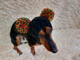 Warm hat for pets with pom-poms, Hat for mini dachshund with two pompons dachshundknit