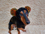 Warm hat for pets with pom-poms, Hat for mini dachshund with two pompons dachshundknit
