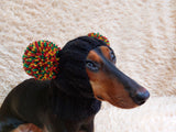 Warm hat for pets with pom-poms, Hat for mini dachshund with two pompons dachshundknit