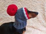 Monkey pet hat with big pompom, warm winter dog hat with pompom dachshundknit
