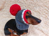 Monkey pet hat with big pompom, warm winter dog hat with pompom dachshundknit