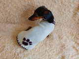 Sweater outfit wool winter for pets dog dachshund with paw dachshundknit