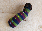 Dinosaur striped jumper with wooden buttons for pets dachshundknit