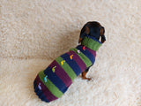Dinosaur striped jumper with wooden buttons for pets dachshundknit