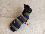 Dinosaur striped jumper with wooden buttons for pets dachshundknit