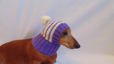 Winter knitted hat for small dog,hat for dogs, pet clothes, winter hat for dog, handmade hat, hat for dachshund, knitted hat, gift hat
