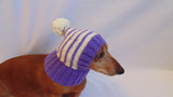 Winter knitted hat for small dog,hat for dogs, pet clothes, winter hat for dog, handmade hat, hat for dachshund, knitted hat, gift hat