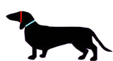 Rainbow Striped Christmas Dog Hat dachshundknit