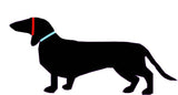 Blue hat for dog with two pompons, hat for dachshund with two pompons dachshundknit