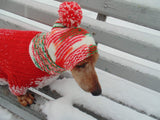 Christmas knitted hat dog, dog hat, winter hat, dachshund hat - dachshundknit