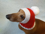 Christmas Santa hat dog dachshund dachshundknit