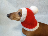 Christmas Santa hat dog dachshund dachshundknit