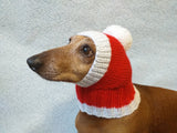Christmas Santa hat dog dachshund dachshundknit