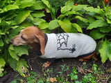 Halloween costume with spider for dachshund dog dachshundknit
