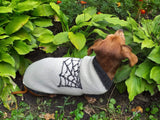 Halloween costume with spider for dachshund dog dachshundknit
