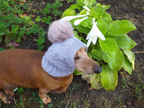 Hat for small dog with big pompom rabbit - dachshundknit