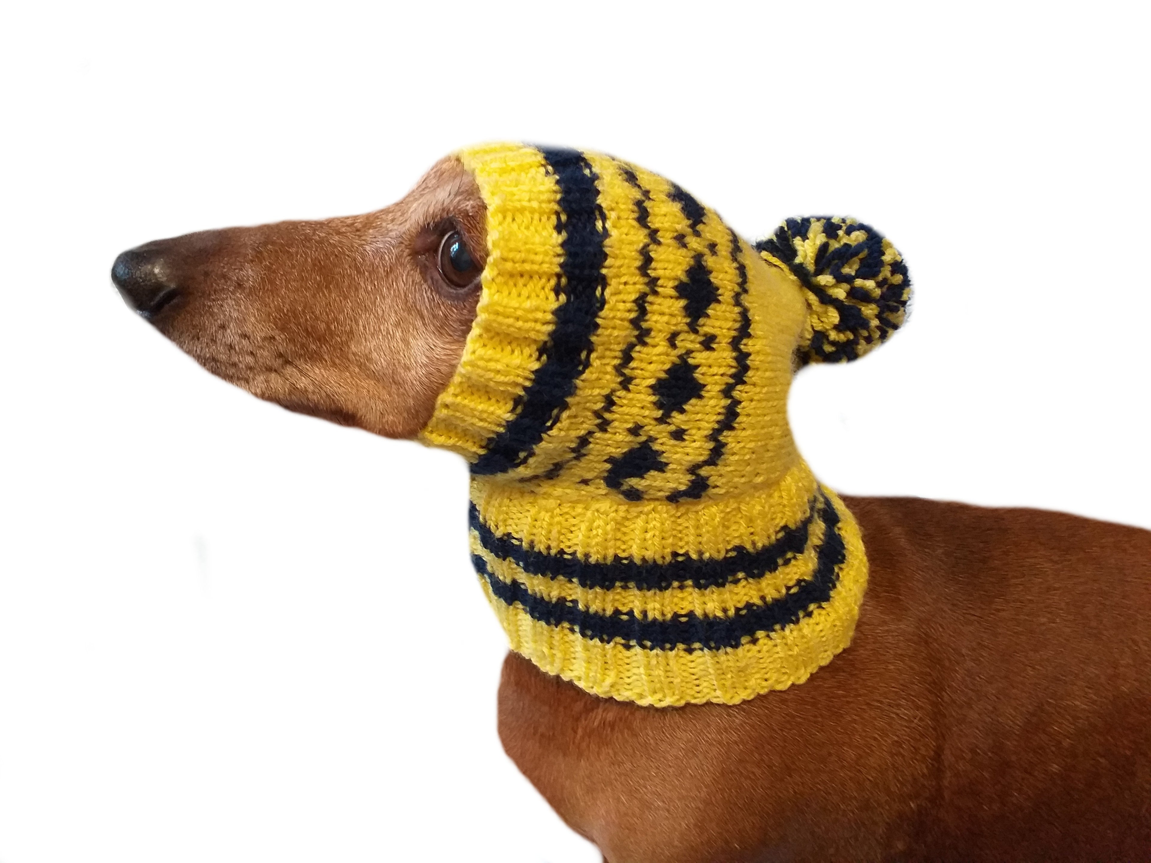 Winter knitted hat for small dog,hat for dogs, pet clothes, winter hat