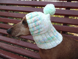 Clothes for dogs handmade knitted hat with pompon dachshundknit
