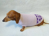 Lilac knitted sweater for dogs, clothes for dachshunds, sweater for dogs, clothes for dogs, sweater for small dogs, dachshund sweater dachshundknit