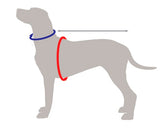 Cardigan with footprints for small dachshund dachshundknit